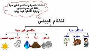 النظام البيئي
